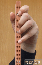 二胡左手四种基本指型