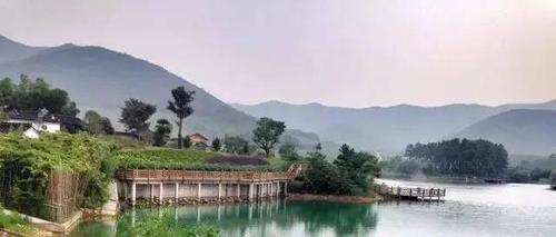 美丽乡村游:踏青宜兴湖滏,品春"茶之绿洲"!