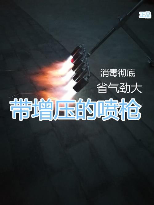 消毒器养殖场火焰消毒枪猪场液化气喷枪高温煤气喷火枪多头枪定制款 3