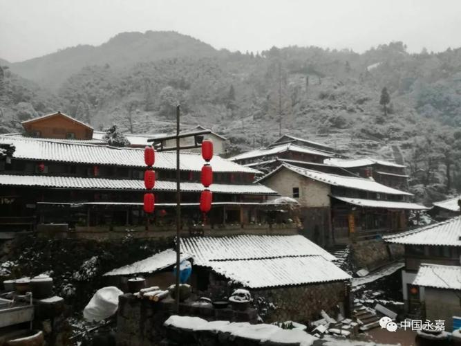 【欣赏】温州终于下雪了!比上次还大,路况雪景注意事项一锅端