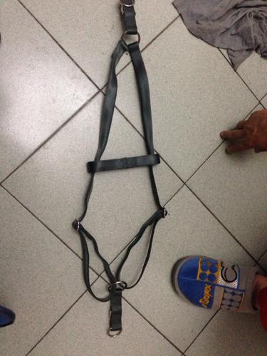 这种狗链怎么套啊