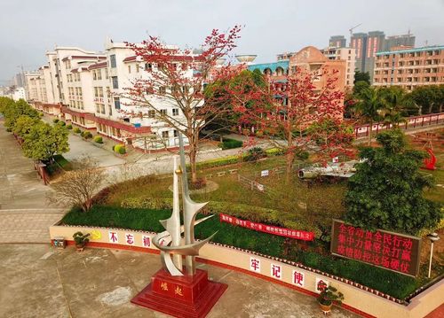 致敬强国一代,我是接班人 ——郁南县西江实验学校举行线上升旗仪式小