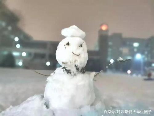 呼市9大高校校园雪人大比拼,你觉得哪所高校的雪人最