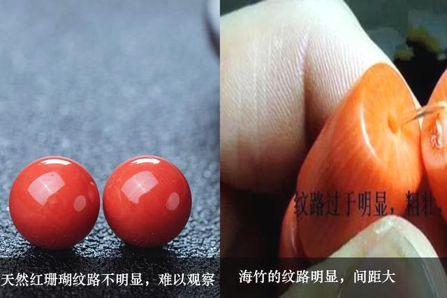 真假红珊瑚鉴别图,天然红珊瑚鉴别方法的特点