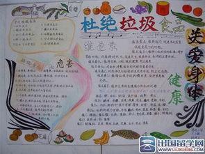 食品药品技校元安手抄报药品安全手抄报