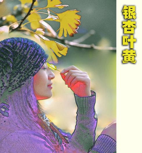 银杏叶黄