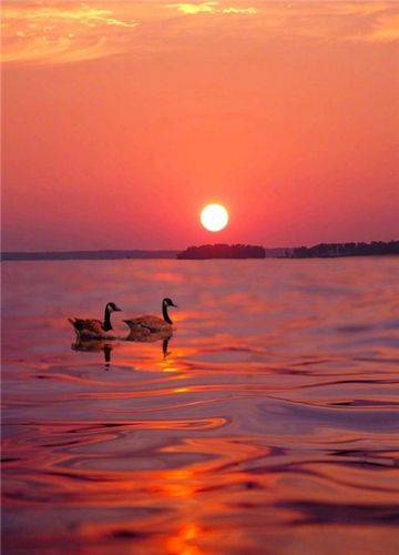 落日夕阳唯美风景朋友圈壁纸图片 晚什么安要想我到夜不能寐