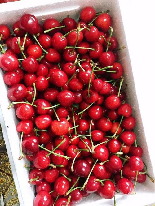 拿到包裹打开一看, 是妈妈特意从老家寄过来的一箱大樱桃.