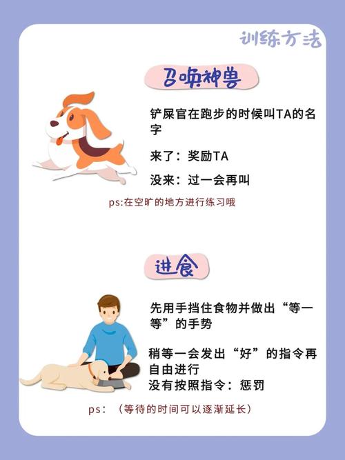 学会这些手势,轻松拥有完美狗狗| 训狗必备_狗狗_手势