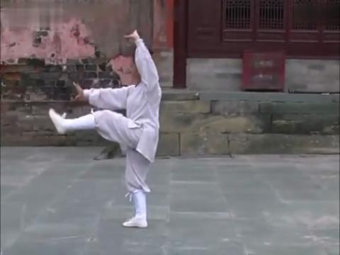 武当玄武拳的玄武拳谱(二路)