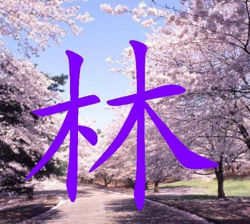 林(汉语汉字)