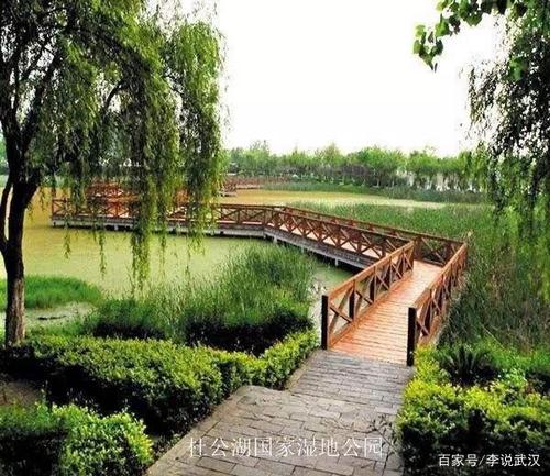 武汉这三家国家湿地公园不设置路灯