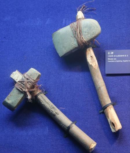 巴拿马猴砸坚果,就进入石器时代了?网友:村里的猴子还能骑车呢