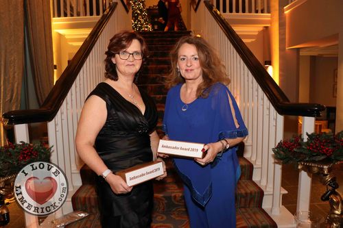 pictured at the shannon region ambassador awards 2019 in