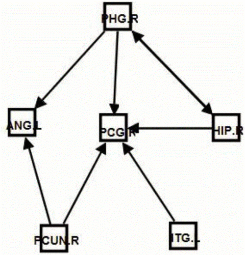 推算;计数设备的制造及其应用技术  脑电图(electroencephalogram