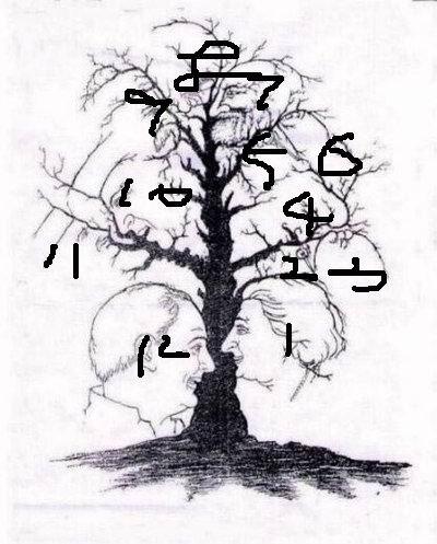 都累了吧,来看看图中有几人张脸!