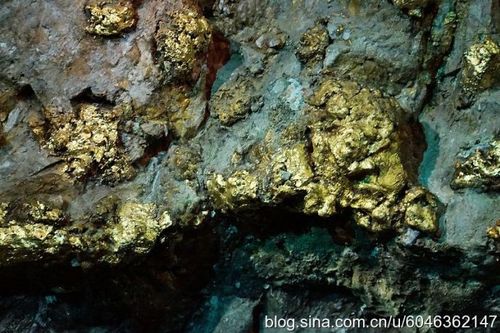 原来矿洞洞壁上发现了金矿石!