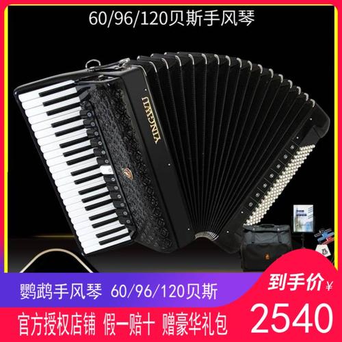 鹦鹉手风琴考级演奏初学贝斯三背带