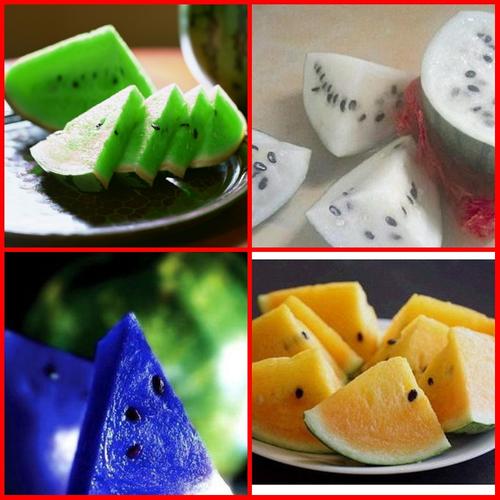 欧洲进口 西瓜种子/黄/蓝/白/红瓤西瓜种子 稀有蔬菜种子阳台盆栽