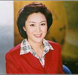 孟莉[中央电视台主持人]
