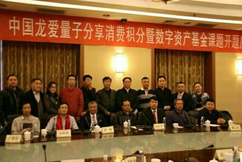 龙爱量子行业领航者
