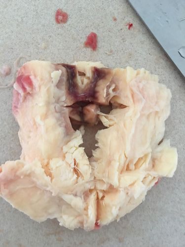 在家切开生牛肉,里面有不明的东西,请帮我看看这是什么?是病牛吗?