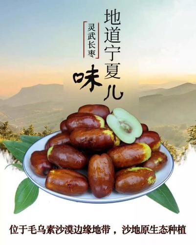宁夏特产 灵武长枣 礼盒装 2.5kg*2盒