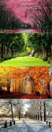 春夏秋冬四季风景壁纸