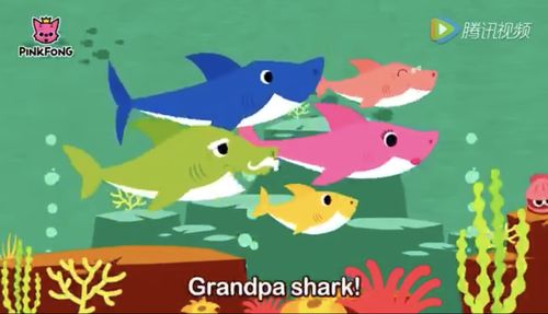 小朋友还学习了英文歌曲《baby shark》,学会了baby ,mommy,daddy