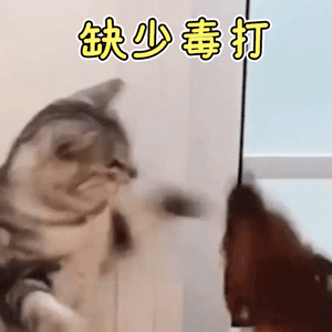 生气揍人的动态表情包生气了哄不好了