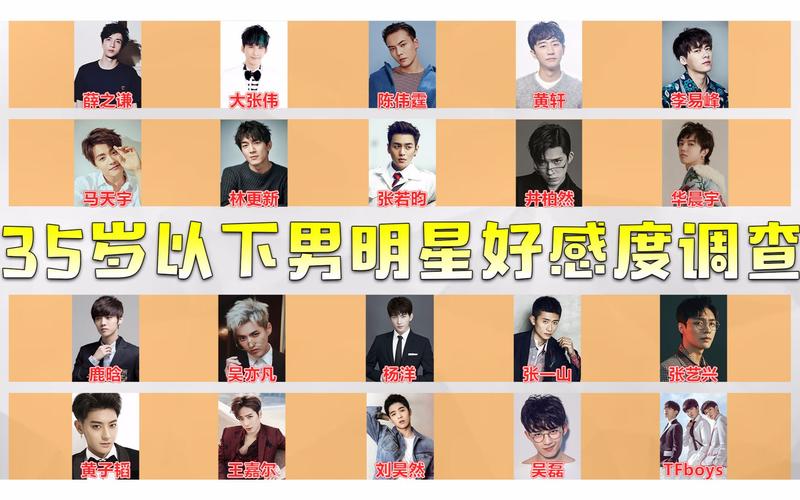 35岁以下男星路人好感度调查历时4小时近300人参加的街头随机投票