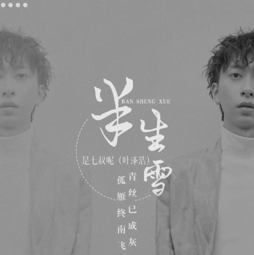 半生雪 - 是七叔呢 歌词