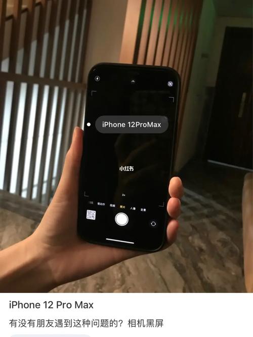 iphone 12promax 相机黑屏
