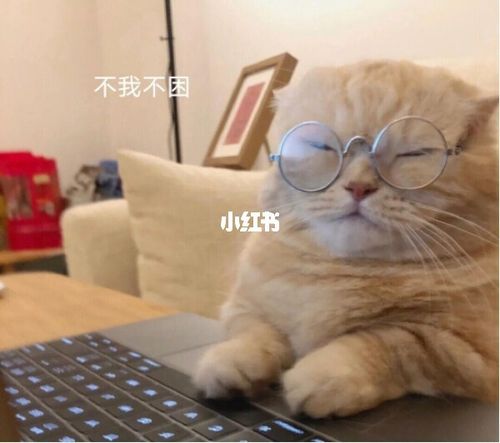 打工人目光呆滞表情包98_表情包_我最爱的表情包_素材_表情包