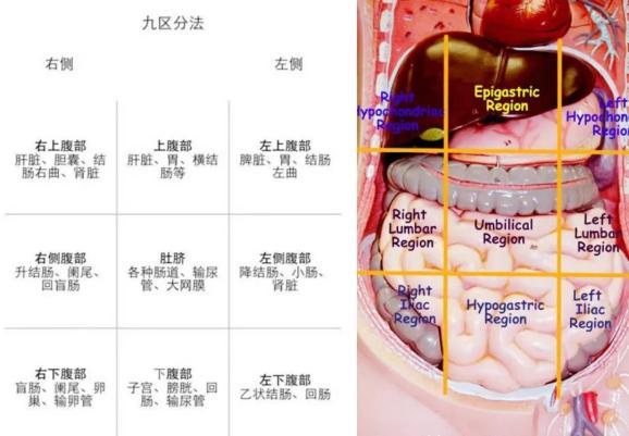 右上腹经常疼痛,胀满感,常见原因有哪些?