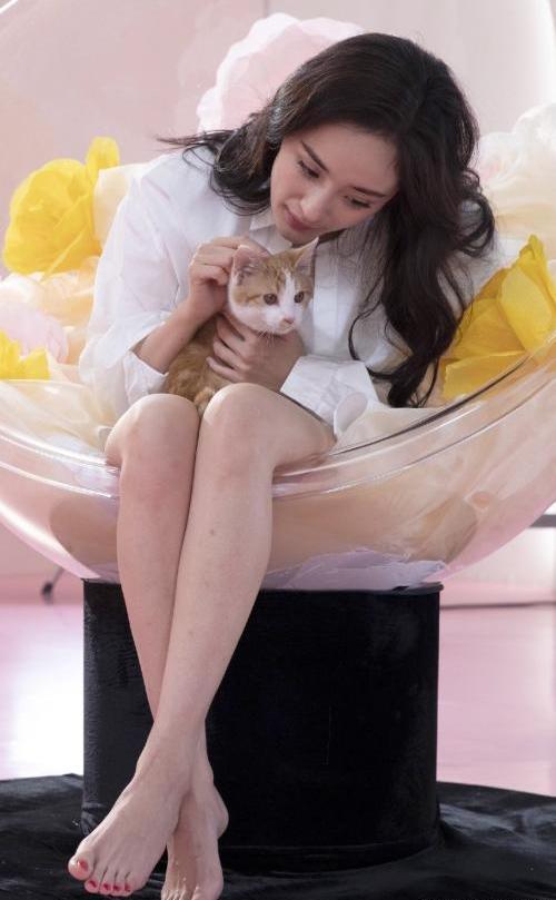 杨家三大美女谁的脚更好看杨颖拖鞋那一刻彻底把我惊到了