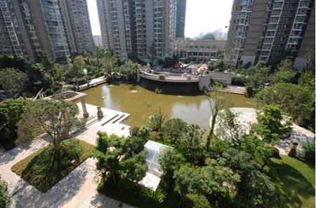 星雨华府百年树王风华 见证楼王璟中泱_房产资讯-南京房天下