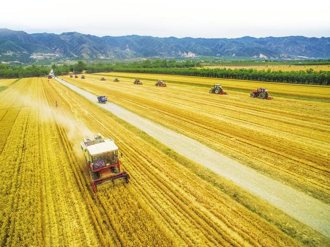 奋斗百年路启航新征程沧桑巨变巡礼三晋农业农村篇谱写农业农村现代化