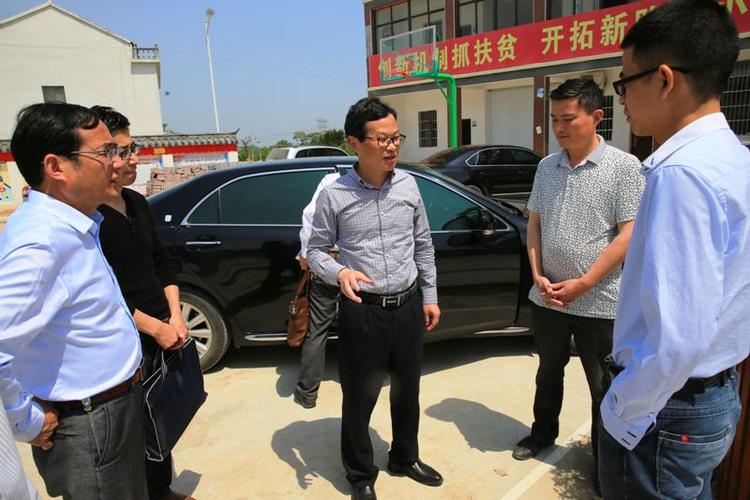 程志翔深入徐桥镇调研指导脱贫攻坚工作