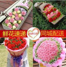 生日祝寿康乃馨山东烟台花店送花海阳市芝罘区福山区同城鲜花快递