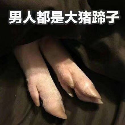 男人都是大猪蹄子_大猪_蹄子_男人表情