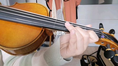 按弦练习_小提琴_跟着蔡淼淼拉小提琴_影视_音乐