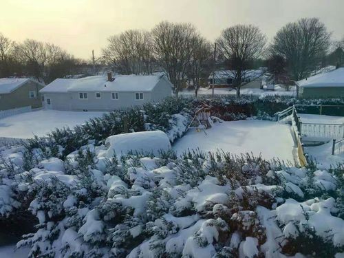 加拿大的雪景