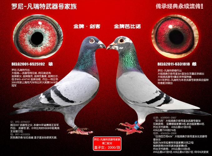 罗尼-凡瑞特武器号家族第五配对