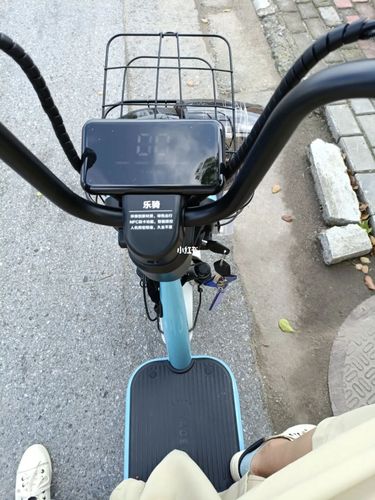 雅迪乐骑_姜堰博物馆自由行热门攻略_雅迪怎么样_电动