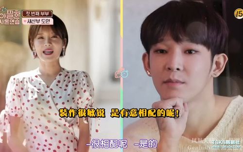 南太铉x张度妍一个我结倒下了千千万万个我结站起来了只要我cp换的快