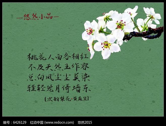 手绘梨花诗画