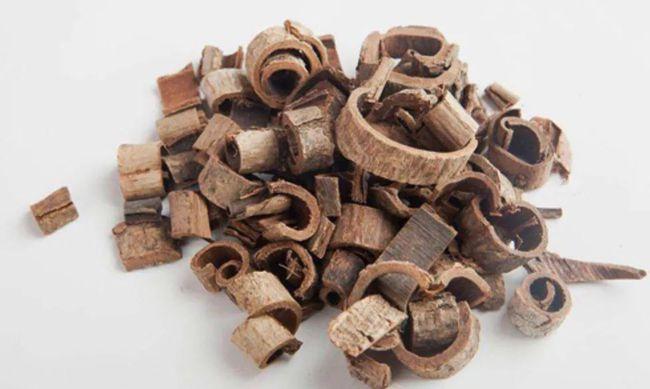 胡博士说中药|厚朴治瘟疫的故事:为什么说厚朴是化湿药中重要药物之一