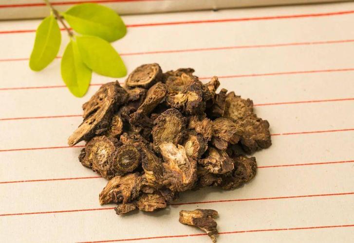 羌活与独活在功效,形态上有一定的相似之处.