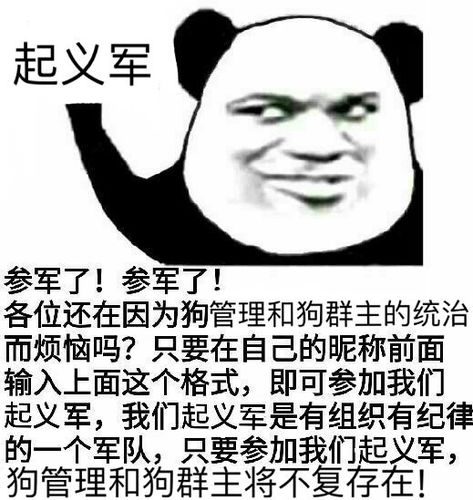 起义军参军了!参军了!-爱表情网